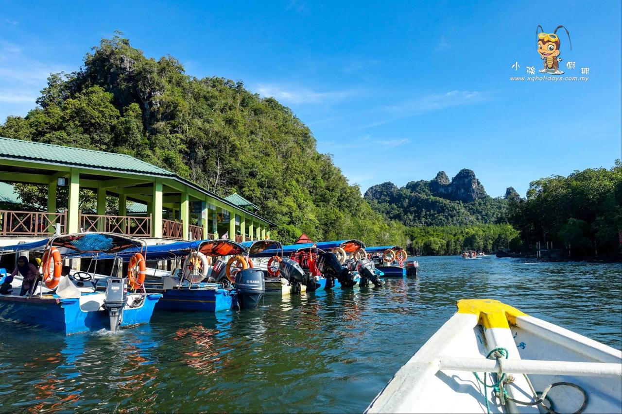 Jelajahi Ekosistem Mangrove yang Menakjubkan di Langkawi